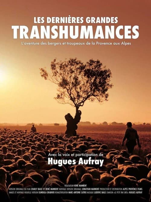 Постер: Les dernières grandes transhumances
