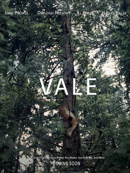 Постер: Vale