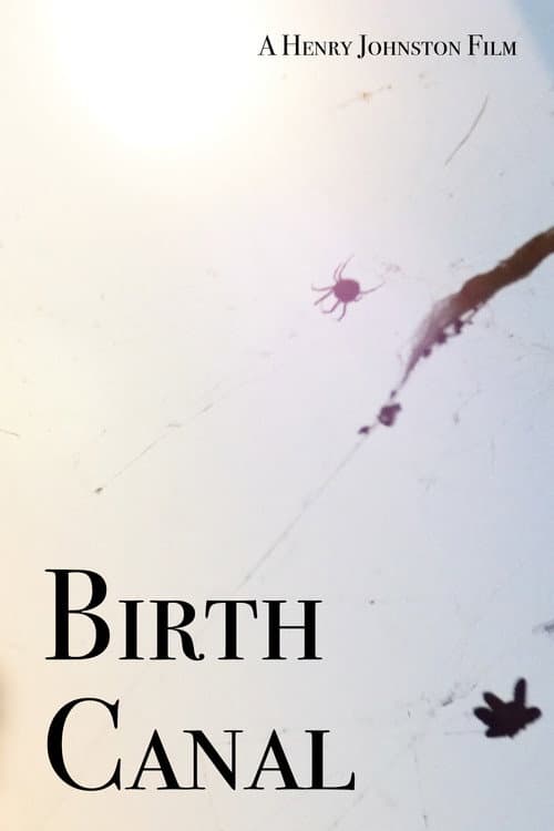 Постер: Birth Canal