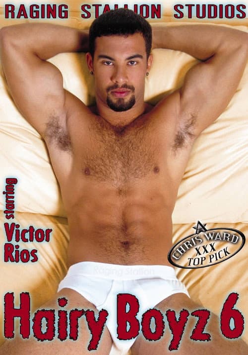 Постер: Hairy Boyz 6
