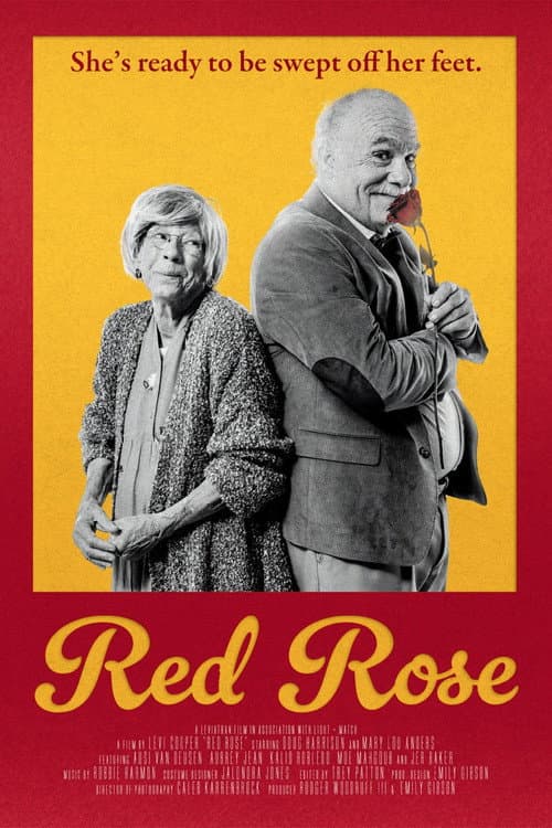 Постер: Red Rose