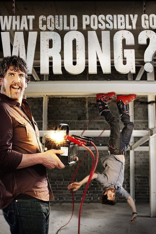 Постер: What Could Possibly Go Wrong?