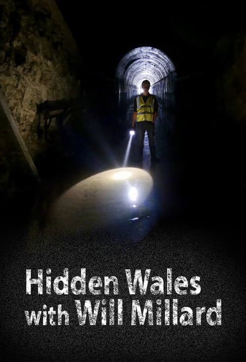 Постер: Hidden Wales with Will Millard
