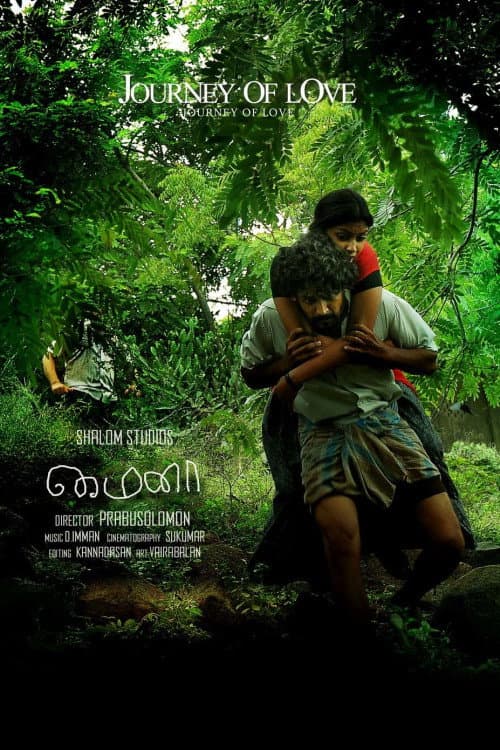 Постер: மைனா