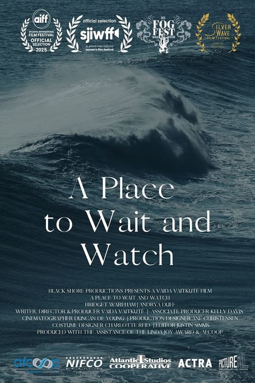 Постер: A Place to Wait and Watch