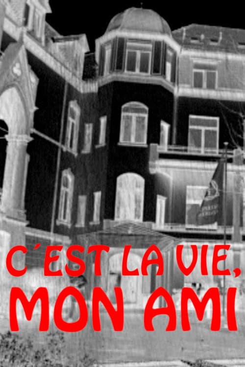 Постер: C'est la vie, mon ami