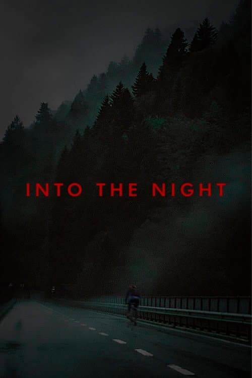 Постер: Into The Night