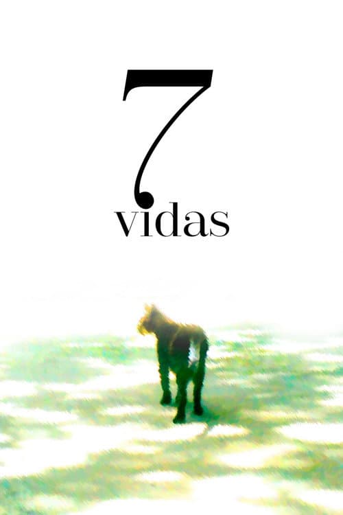 Постер: 7 Vidas