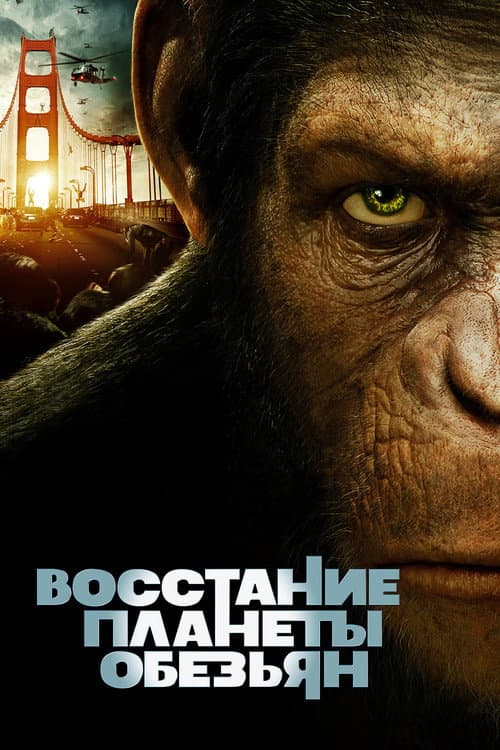 Кадр 3