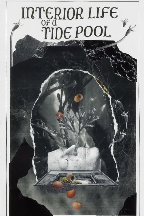 Постер: Interior Life of a Tidepool