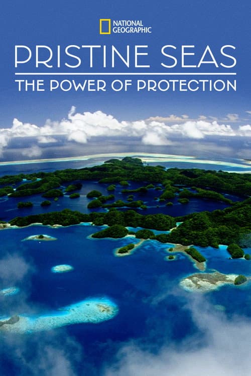 Постер: Pristine Seas: The Power of Protection