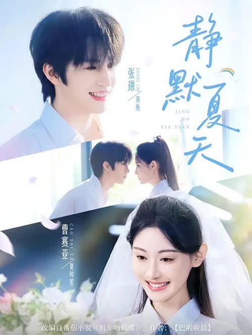 Постер: 静默夏天