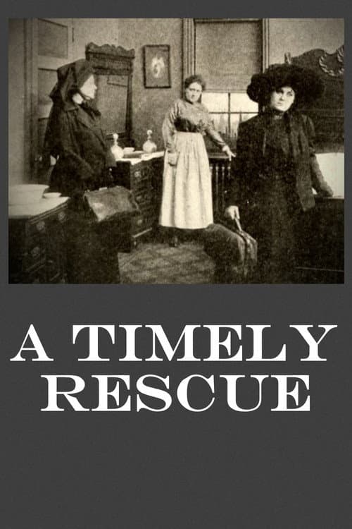 Постер: A Timely Rescue