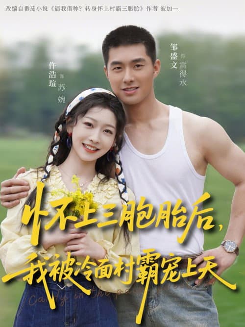 Постер: 怀上三胞胎后,我被冷面村霸宠上天