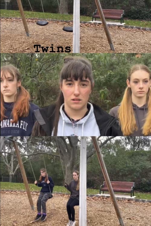 Постер: Twins