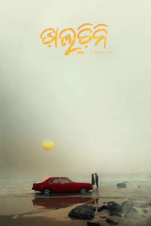 Постер: ଡ଼ାଲ୍‌ଚ଼ିନି
