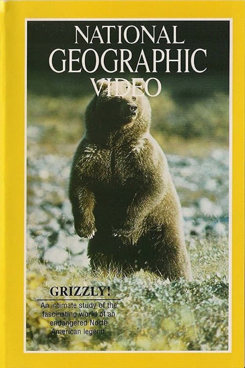 Постер: Grizzly!