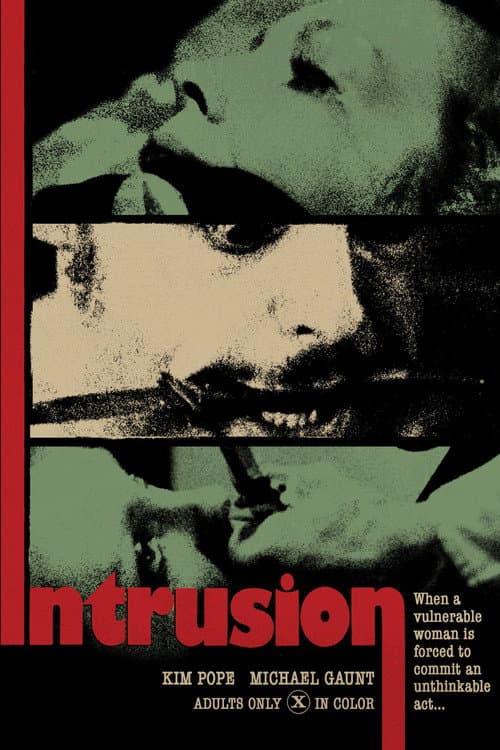Постер: The Intrusion