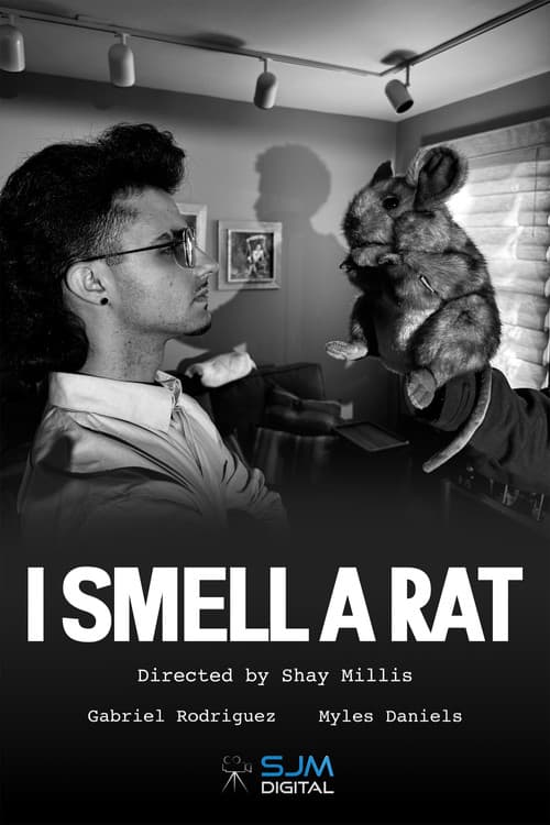 Постер: I Smell a Rat