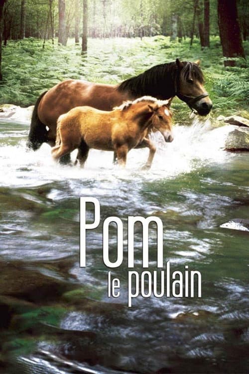 Постер: Pom, le poulain