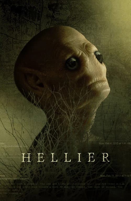 Постер: Hellier