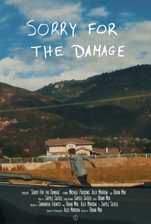 Постер: Sorry For the Damage