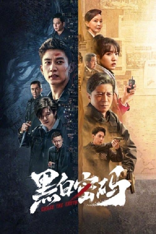 Постер: 黑白密码