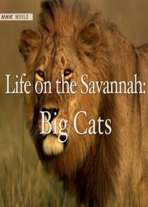Постер: Life on the Savannah: Big Cats