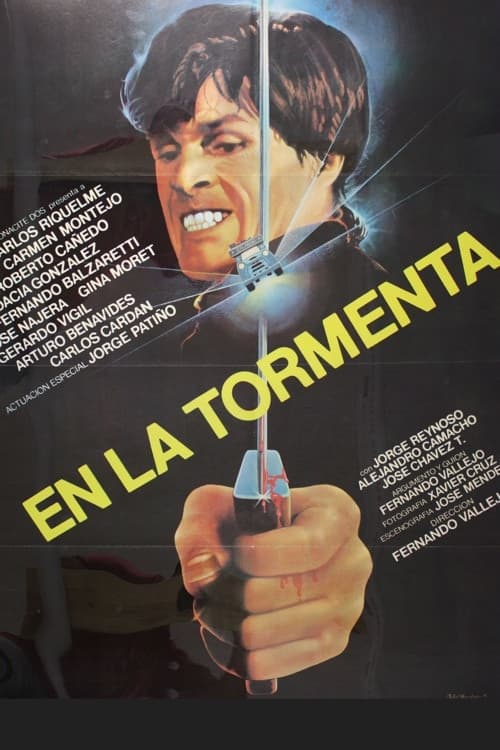Постер: En la tormenta