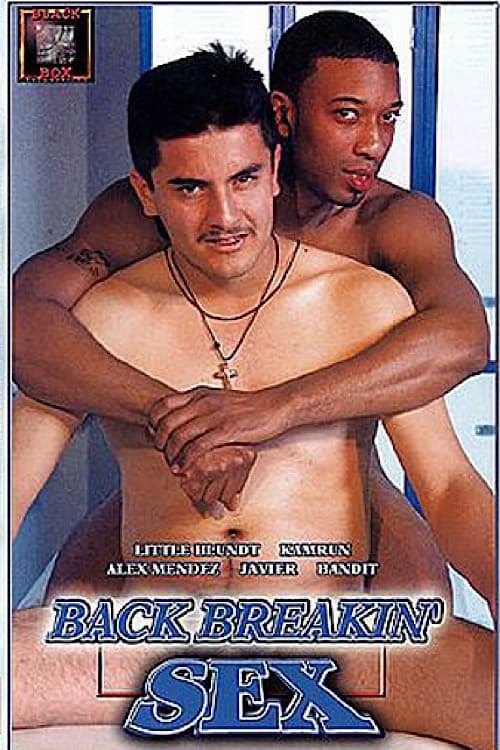 Постер: Back Breakin' Sex