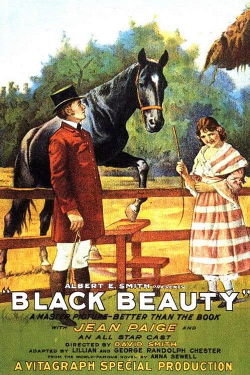Постер: Black Beauty