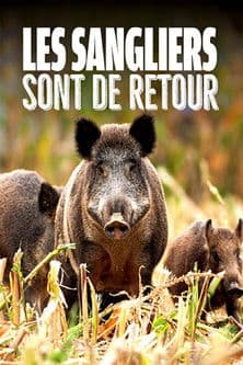 Постер: Les sangliers sont de retour