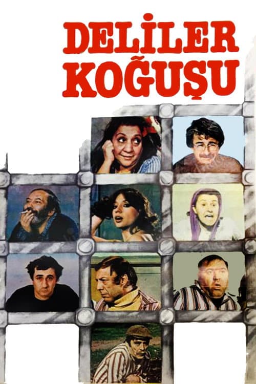 Постер: Deliler Koğuşu