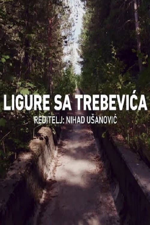 Постер: Ligure sa Trebevića