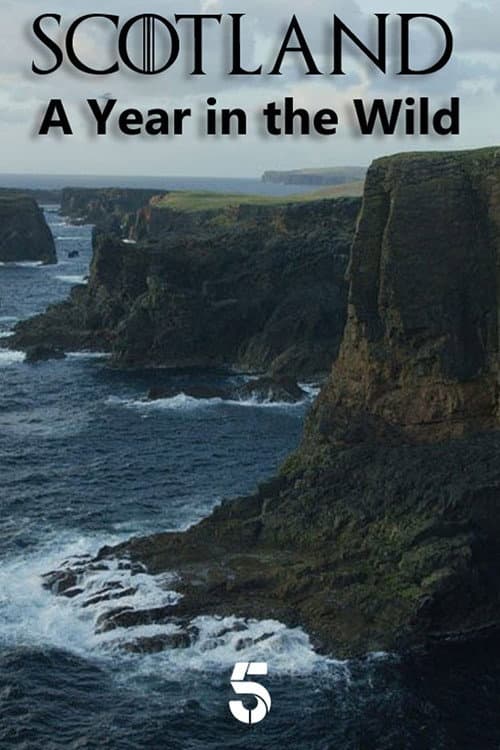 Постер: Scotland: A Year In The Wild