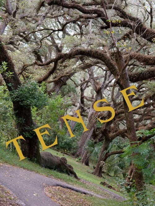 Постер: Tense