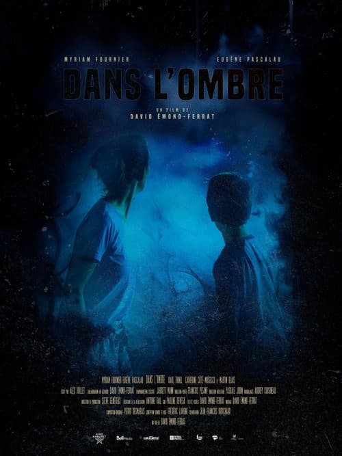 Постер: Dans l'ombre