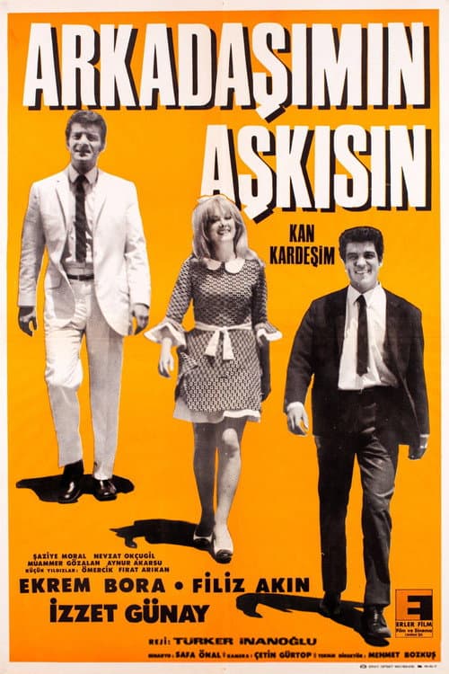 Постер: Arkadaşımın Aşkısın