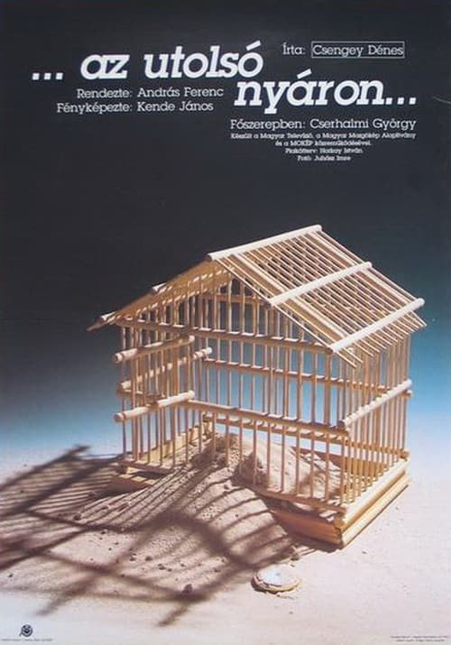 Постер: Az utolsó nyáron