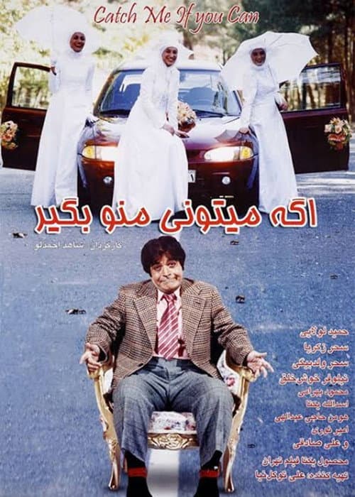 Постер: اگه می‌تونی منو بگیر