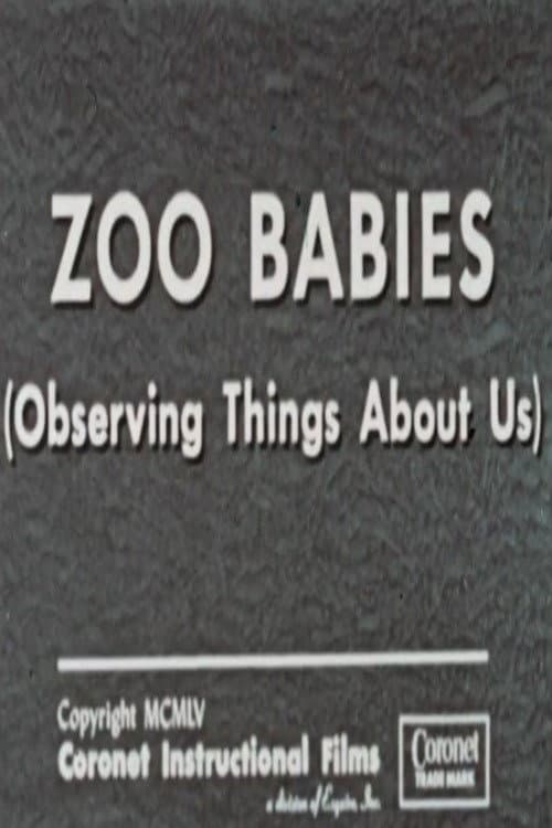 Постер: Zoo Babies (Observing Things About Us)