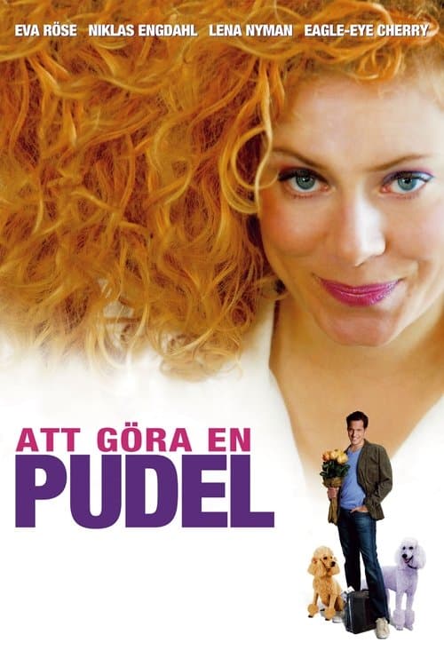 Постер: Att göra en pudel