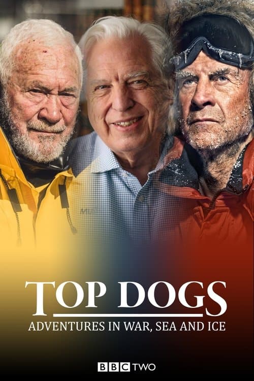 Постер: Top Dogs: Adventures in War, Sea and Ice