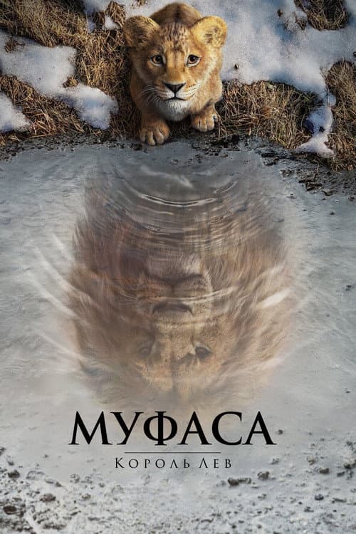 Постер 2