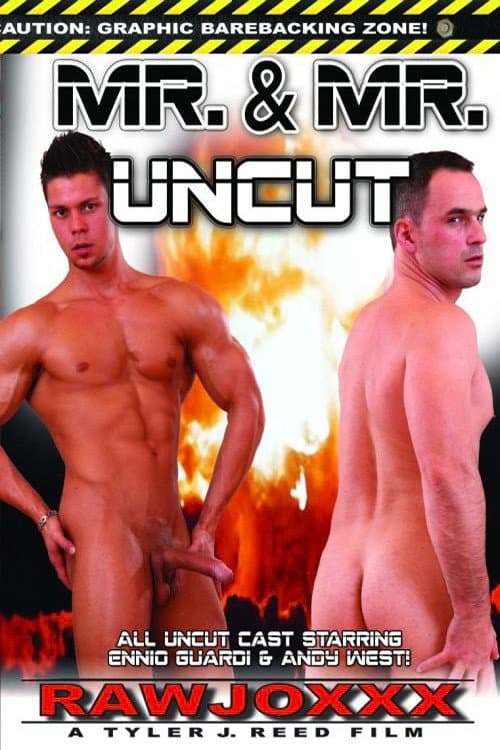Постер: Mr. & Mr.: Uncut