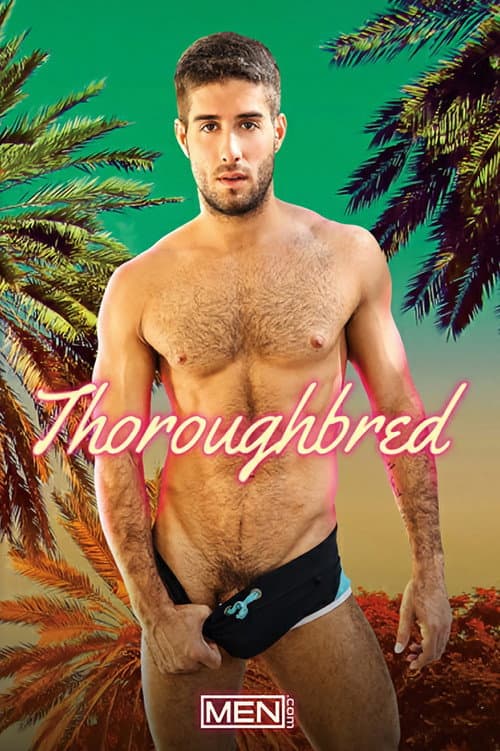 Постер: Thoroughbred