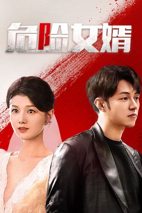 Постер: 危险女婿