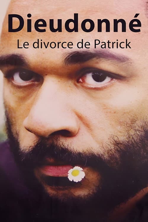 Постер: Dieudonné - Le Divorce de Patrick