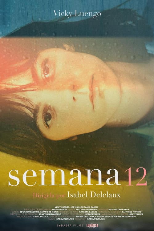 Постер: Semana 12