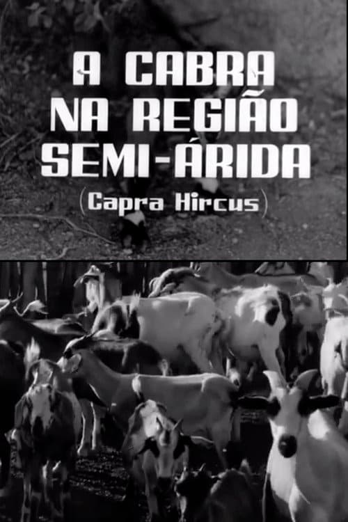 Постер: A Cabra na Região Semi-Árida